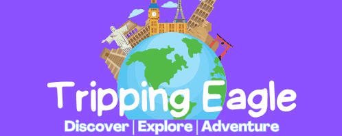 A globe with famous landmarks and the text "Tripping Eagle" above "Discover | Explore | Adventure" on a purple background.