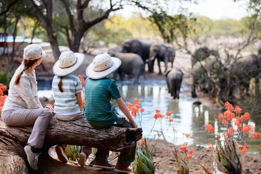Three people sit on a log near a waterhole, watching elephants during their family adventure. Bright orange flowers bloom in the foreground, adding to the magical scene of this family-friendly travel experience.