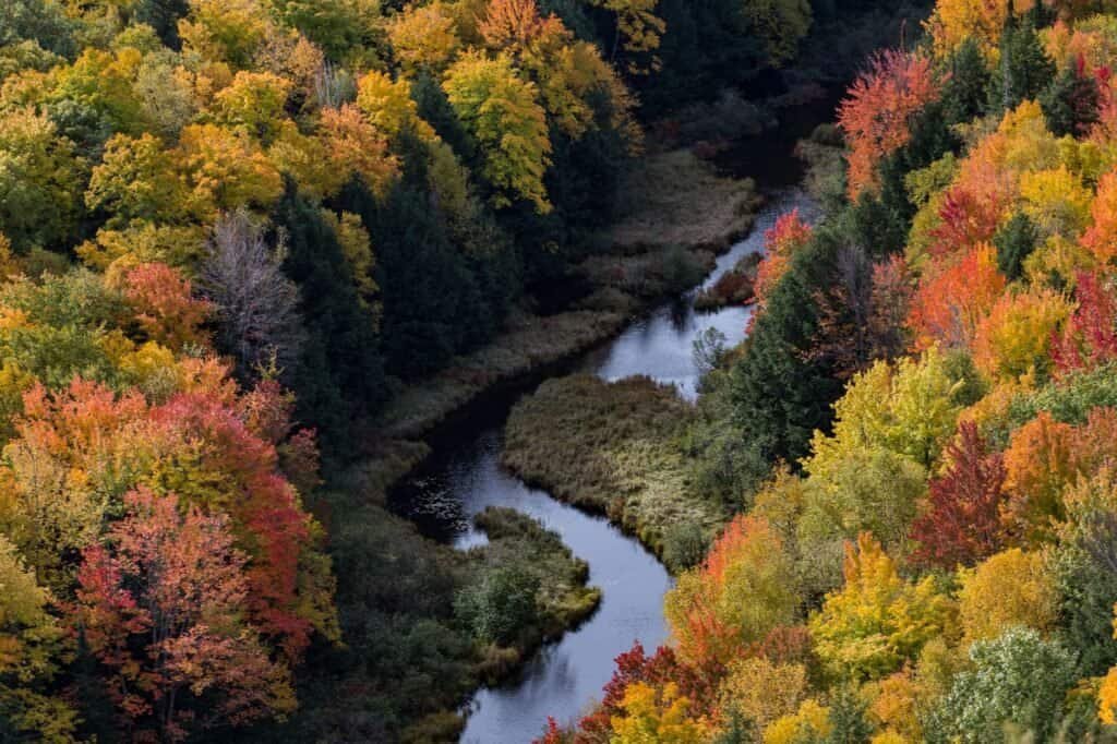 An aerial view captures a winding river enveloped by dense forest, its autumn foliage ablaze in hues of red, orange, yellow, and green—perfect backdrop for hiking and trekking tours.