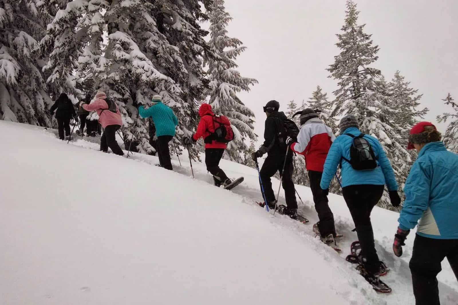 A group of people on a hiking and trekking tour is snowshoeing uphill in a snowy forest, dressed in winter clothing and carrying backpacks.