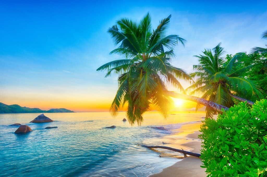 Experience a luxury adventure on a tropical beach at sunrise, where palm trees sway by clear blue waters and distant hills rise under a vibrant sky.