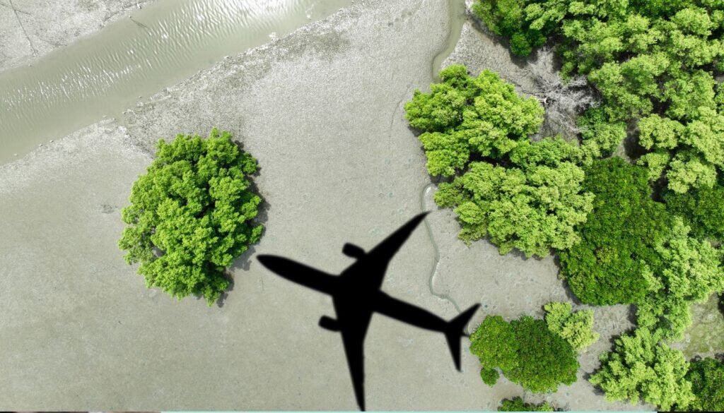 An aerial view of an airplane shadow gliding over a lush landscape with green trees and a serene water body captures the essence of eco travel, merging adventure with nature's tranquility.