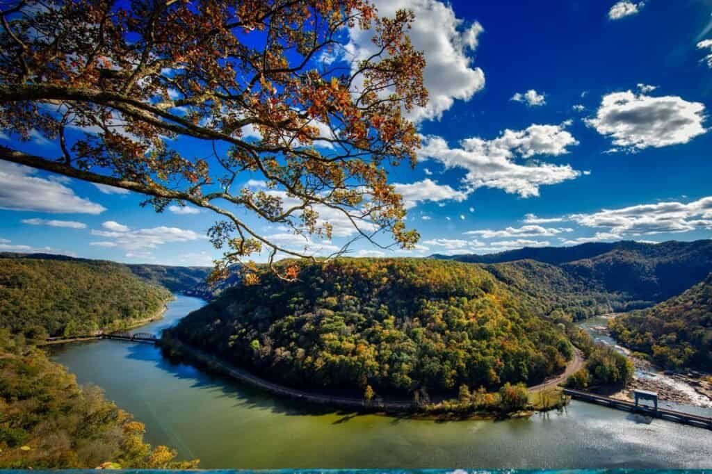 Scenic view of a river winding through a lush, forested valley under a blue sky with clouds; autumn leaves are visible on an overhanging branch.