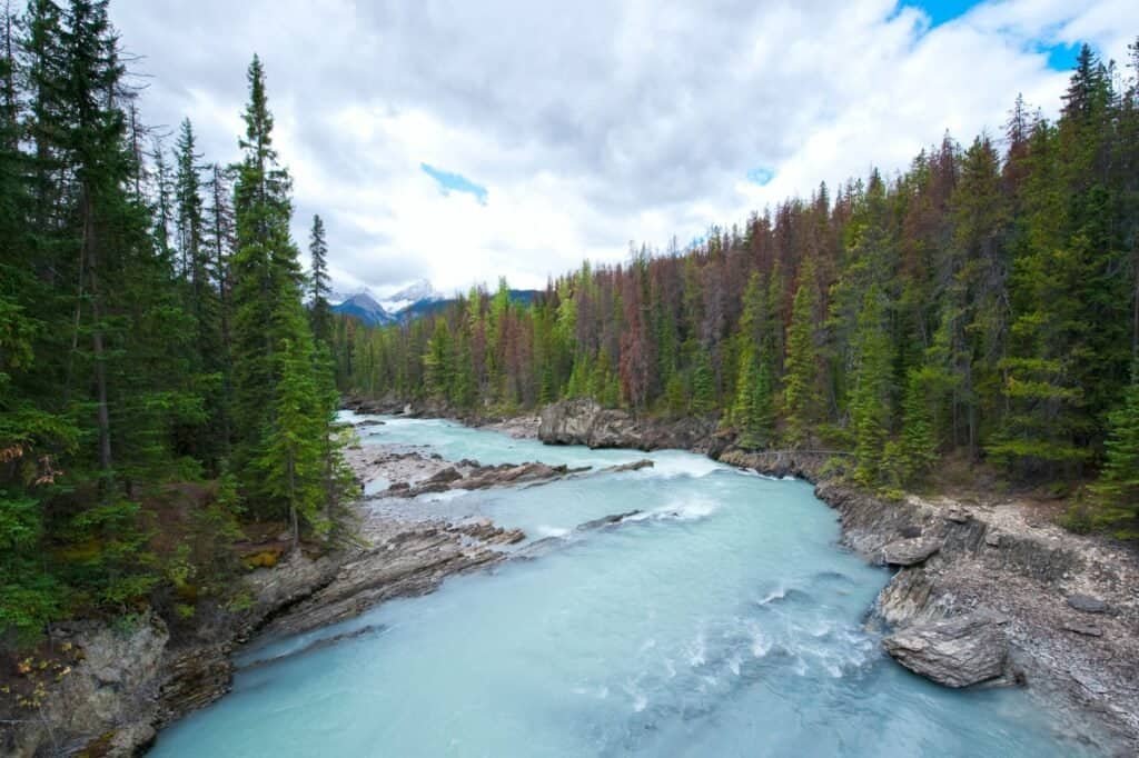 A river with clear blue water flows between rocky banks, surrounded by dense evergreen forest under a partly cloudy sky.