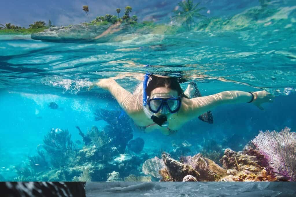 Person snorkeling underwater near a coral reef, with tropical fish and clear blue water—a perfect summer adventure idea. Palm trees and a sandy beach are visible in the background, offering a serene escape.